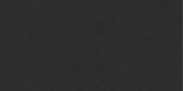 Wega Black 60x120