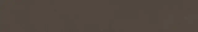Cava Brown 10x60