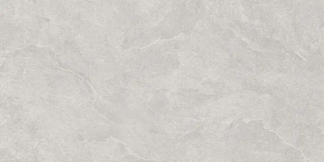 North Slate Grey 60x120