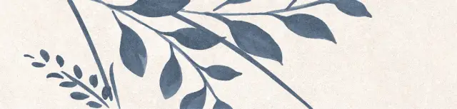 Levels Cobalt Decor 1 Matt 6x25