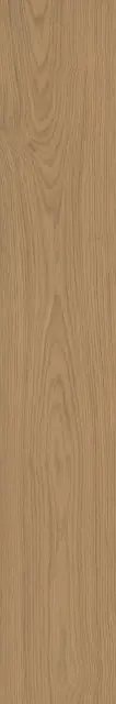 PURE GRACE 20X120 R10-9MM