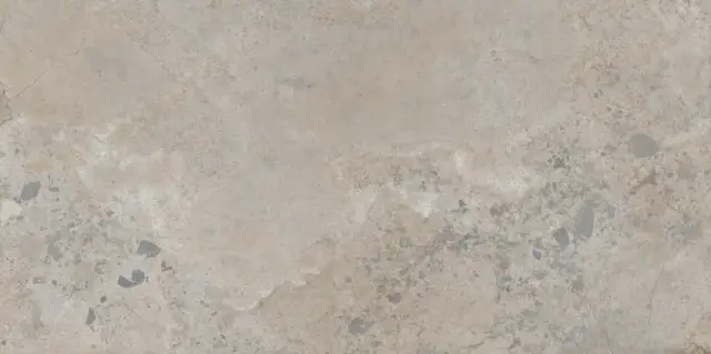 PIETRA VIVA TAUPE 60X120