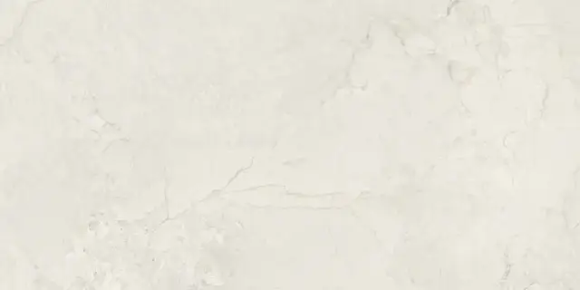 ALLOY PEARL MATT RECT 60X120