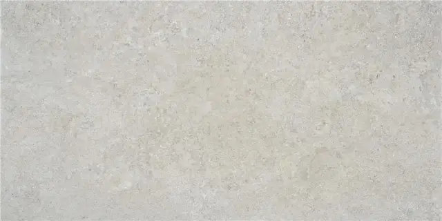 OREGON GREY MT 60X120