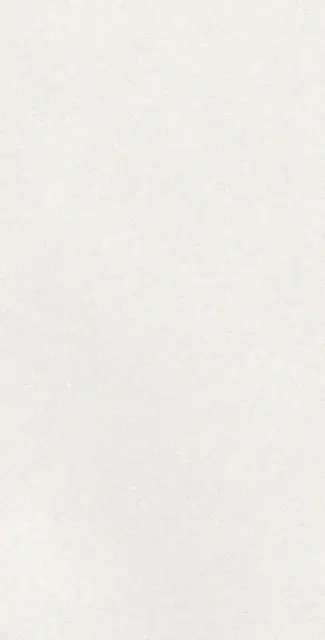 CAPRICE WHITE RECT 60X120