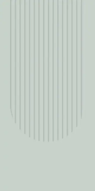 KOS MENTA 60X120 REC.