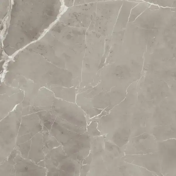 PU.ELEGANT GREIGE LUX 120X120RT