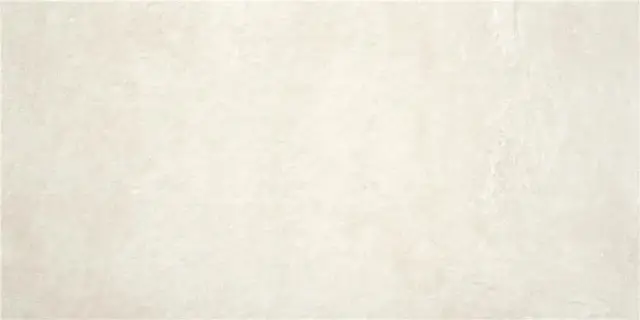 RODANO CHALK MT 60X120 RECT.