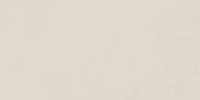 ARGILLAE NEVE RECT 60Х120