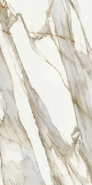 MACCHIA VECCHIA PUL. 120X278 5.6