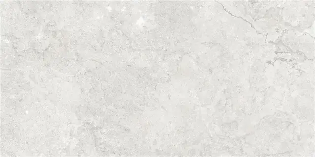 GOBI PEARL MT 60X120 RECT (S-TECH)