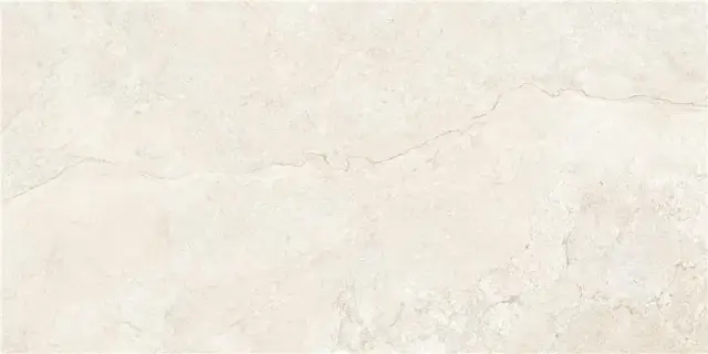 GOBI IVORY MT 60X120 RECT (S-TECH)