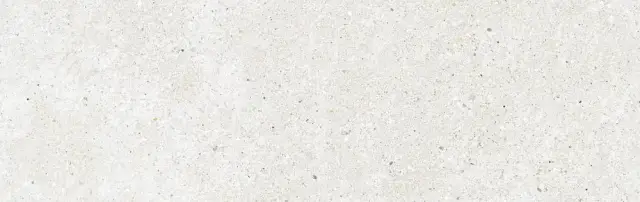 MITICA BLANCO 31,5X100 REC.