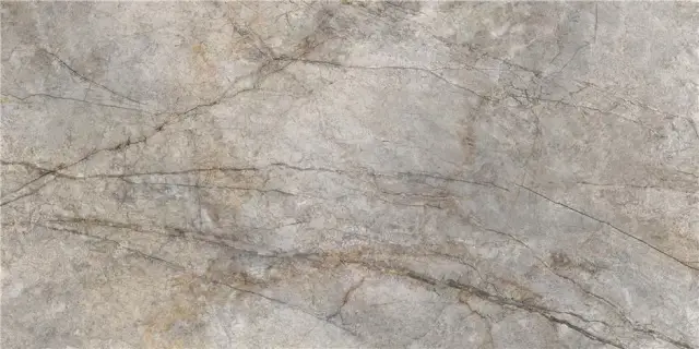 RAIN FOREST NATURAL PULIDO 59X119 RECT.