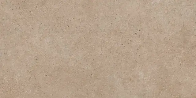 PANGEA TIERRA 60X120 REC.