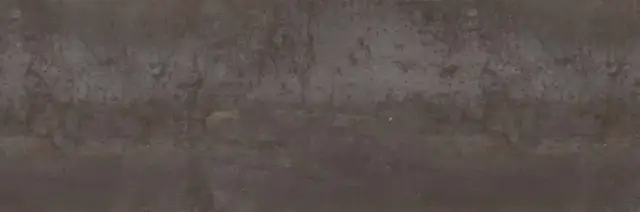 Shine Dark 33,3x100 (5P/C)