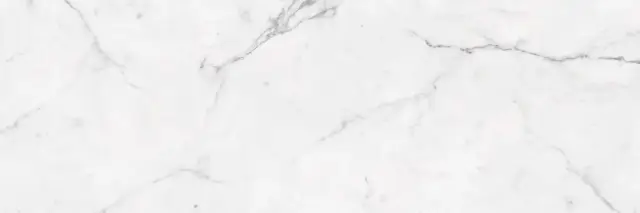 ESTATUARIO POLISHED 100X300X5,6