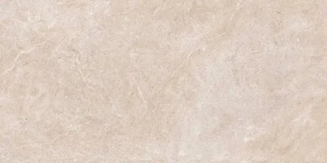 ARLES ARENA 60X120 REC.