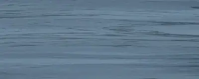 Керамическая плитка Плитка 20,1*50,5 DIANA ACQUA 1c