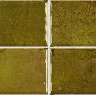 Керамическая плитка WB NAIROBI NOA MOSS 10X10