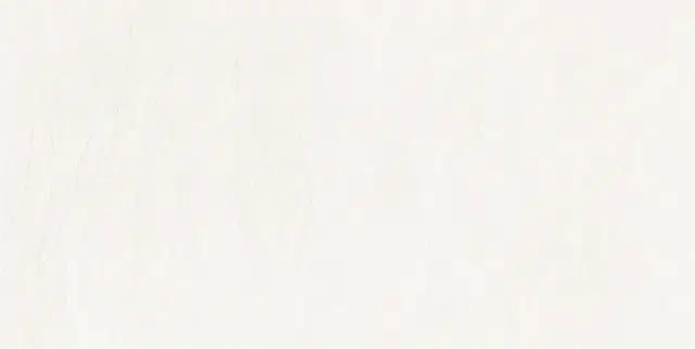 Керамогранит EC.Southrim bone 60*120