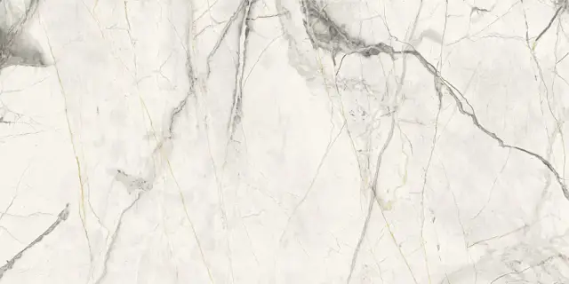 Керамогранит Pav. Invisible nat white 60x120