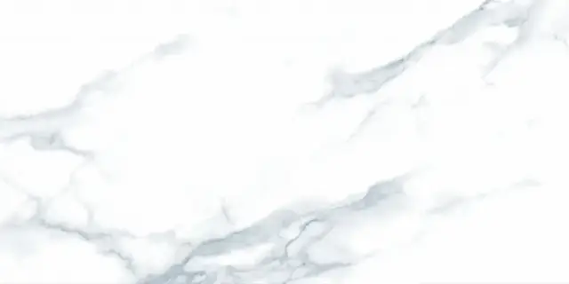 Керамогранит P.E. PUL. Purity white rect. 60X120 