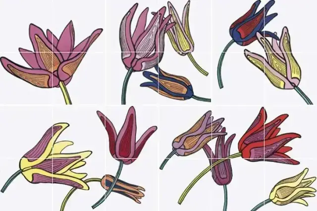 Bardelli Tuli-Pop Декор 1 80x120 глазурованный глянцевый