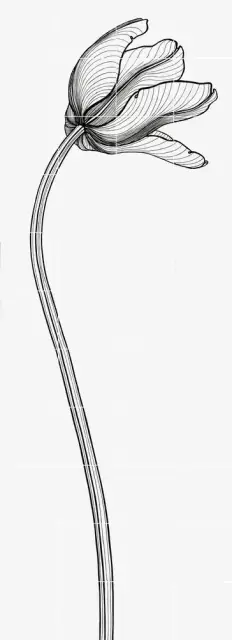 Bardelli Tuli-Charme Декор 4 80x220 глазурованный глянцевый