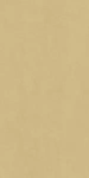 Italon Настенная плитка Surface Wall Project Настенная керамическая плитка Gold Yellow 80x160 натуральный