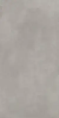 Coliseum San Siro Керамогранит Grey 60x120 натуральный