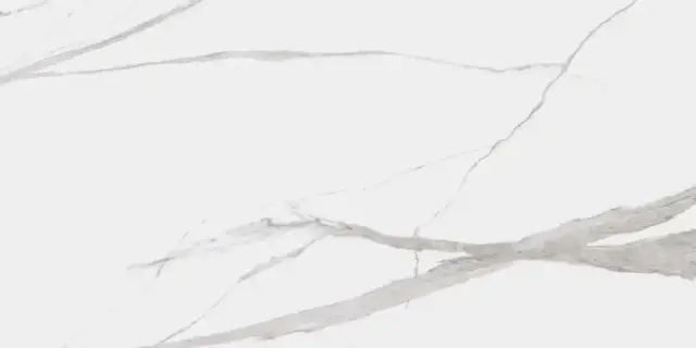 Dogma Project Antibacterial Керамогранит Calacatta Levigato 60x120 полированный