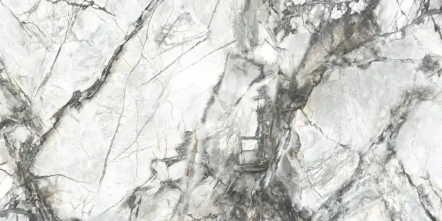 Dogma Project Antibacterial Керамогранит Invisible Solid Levigato 60x120 полированный