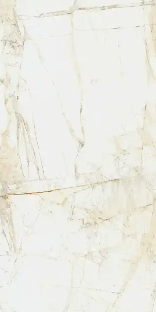 Coliseum Canova Керамогранит White 60x120 натуральный