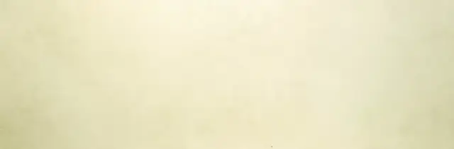 LAMINAM Blend Керамогранит Avorio 100x300 натуральный