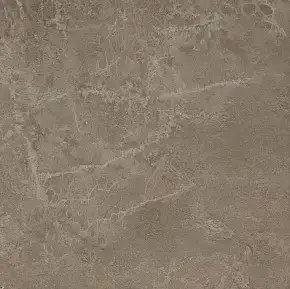 Grey Lapp / Грей Лапп