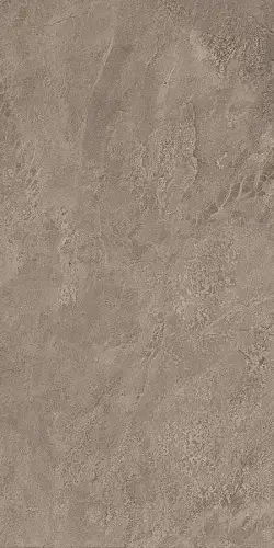 Grey Lapp / Грей Лапп