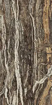 Epos Jurassic Polished