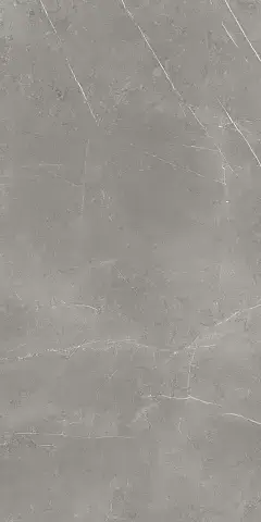 Elegant Grey Сатинированная