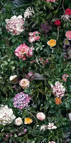 William (3 Варианта Паттерна)