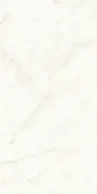 Calacatta Delicato Matte