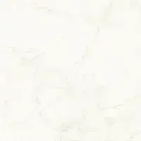 Calacatta Delicato Polished