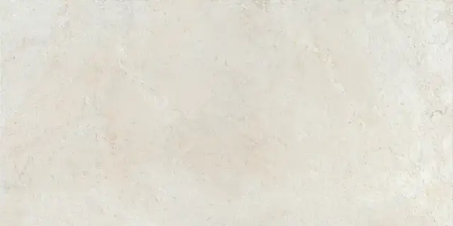 COLORKER ELEMENTS BONE 59.5х119.2 M-83