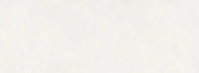 PERONDA VERSA WHITE ST 100х275 BN-170