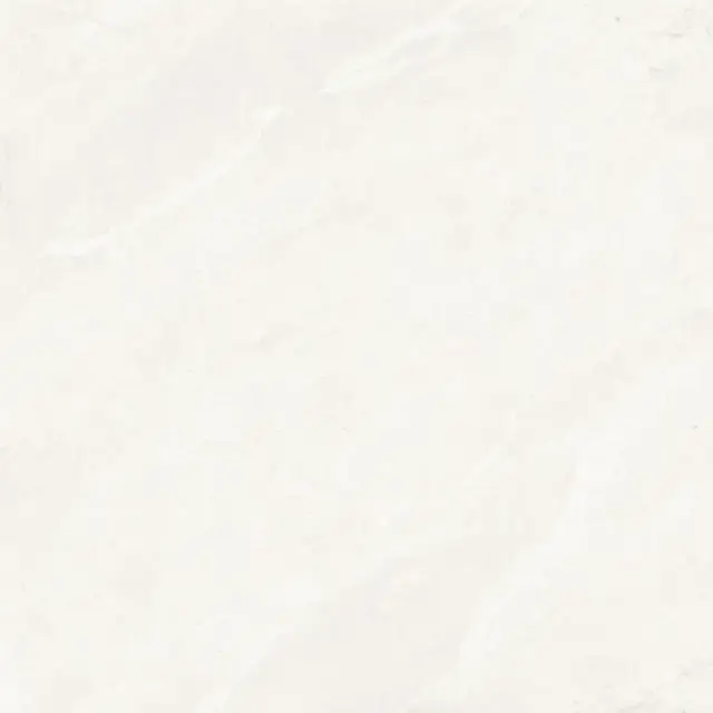 COLORKER DHARA WHITE 59.5х59.5 M-70