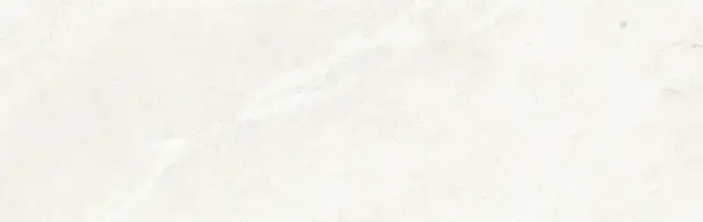 COLORKER DHARA WHITE 31.6х100 M-75