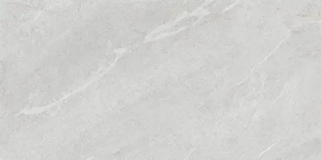 COLORKER DHARA ASH MATE 59.5х119.2 M-83