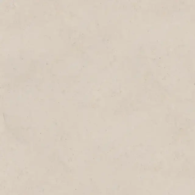 PORCELANOSA DORCIA BONE L 120х120 G-392