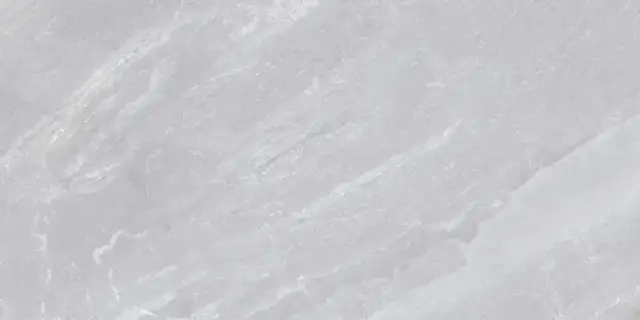 MUSEUM MAINSTONE DOLPHIN 60х120 NT M-66