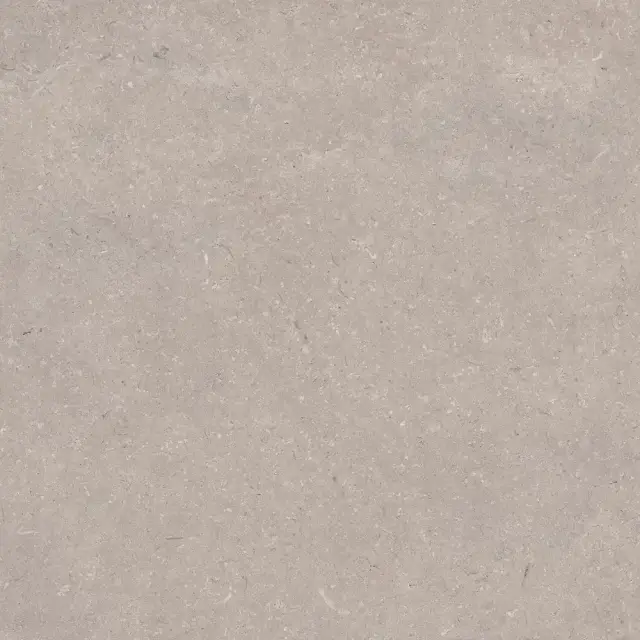 PORCELANOSA CORAL TOPO L 120х120 G-392